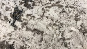 Moonlight White Granite